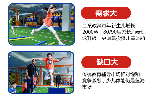 能量鹰