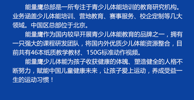 能量鹰