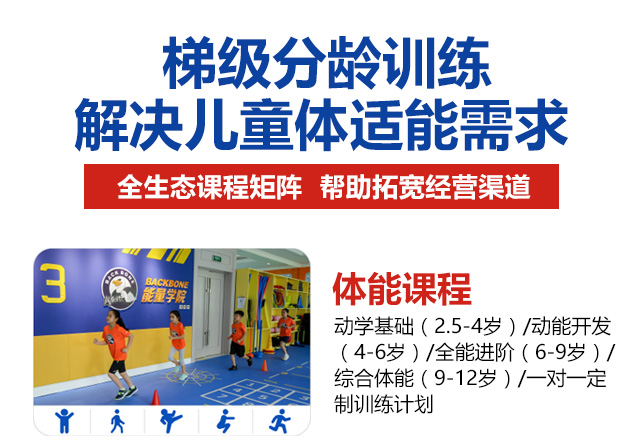 能量鹰