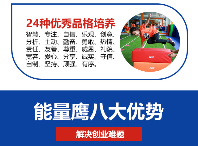 能量鹰