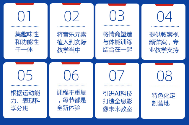 能量鹰