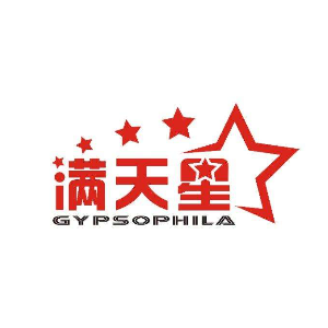 满天星艺术培训中心
