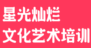 星光灿烂文化艺术培训