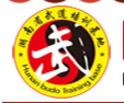 湘武跆拳道