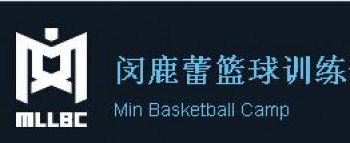 闵鹿蕾篮球训练营