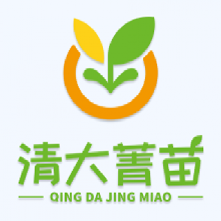 清大菁苗
