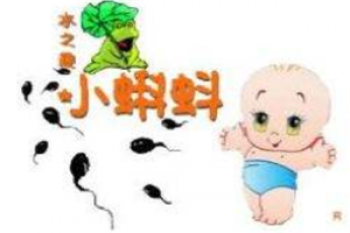 小蝌蚪儿童水上乐园