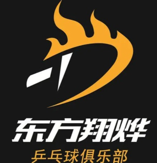 东方翔烨乒乓球教育