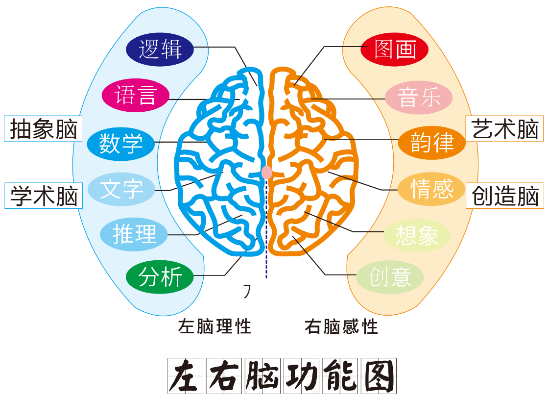 天使全脑加盟 天使全脑加盟