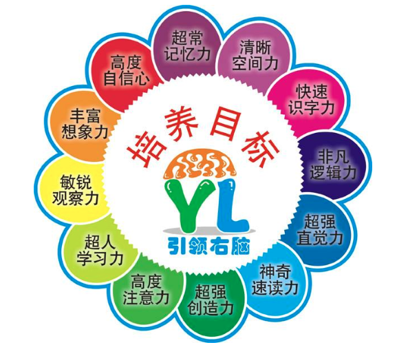 引领右脑 引领右脑