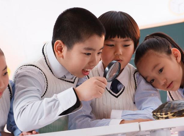 东诚慧教育 东诚慧教育
