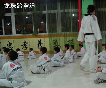 龙珠跆拳道 龙珠跆拳道