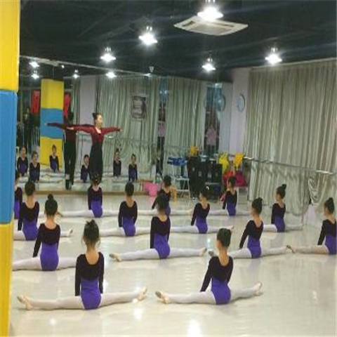 阳光艺校 阳光艺校