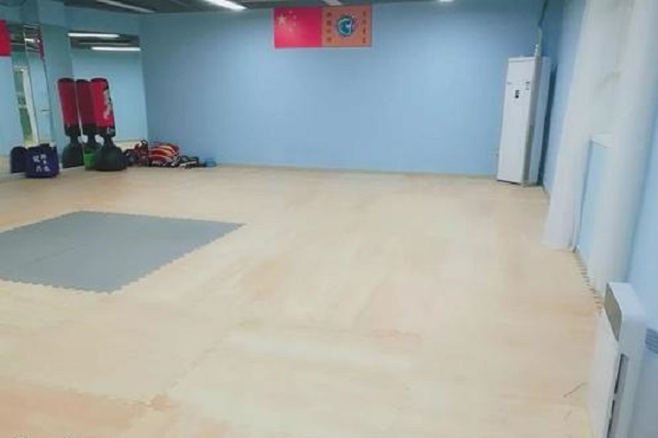 梦之星艺术加盟 梦之星艺术加盟
