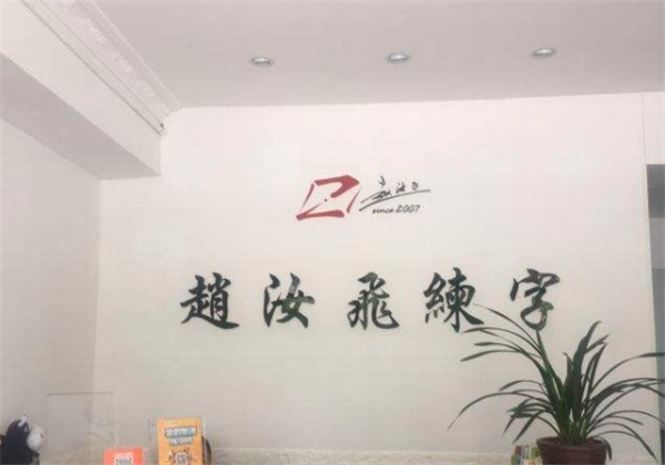 赵汝飞练字