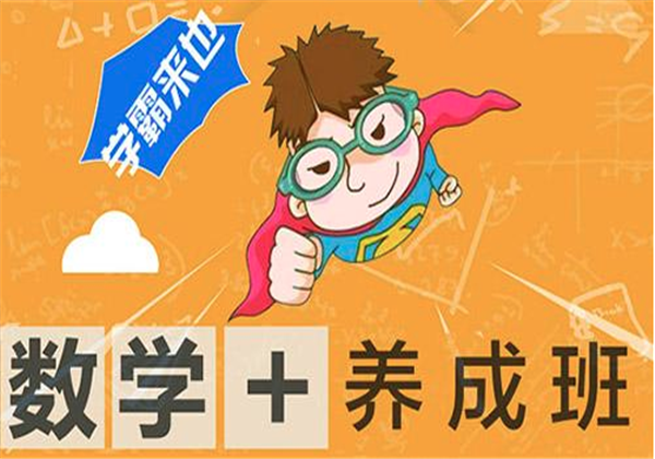 菲尔兹数学