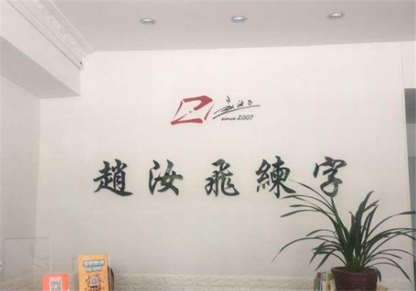 赵汝飞练字