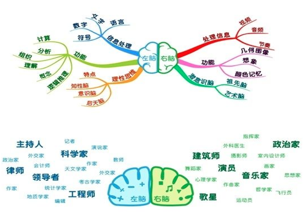 太原全脑开发