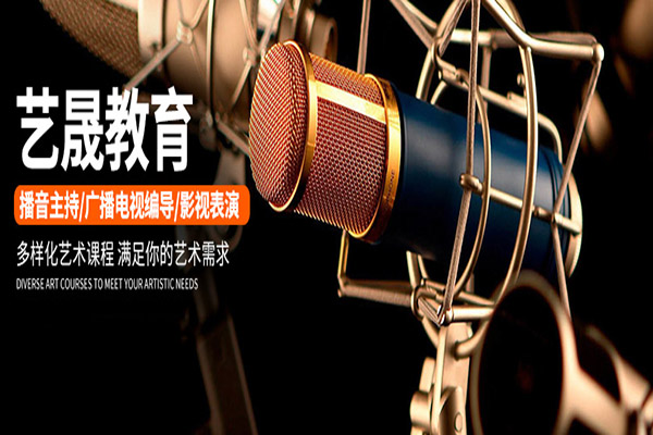艺晟教育加盟 艺晟教育加盟