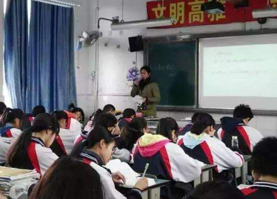 新达雅学校加盟 新达雅学校加盟