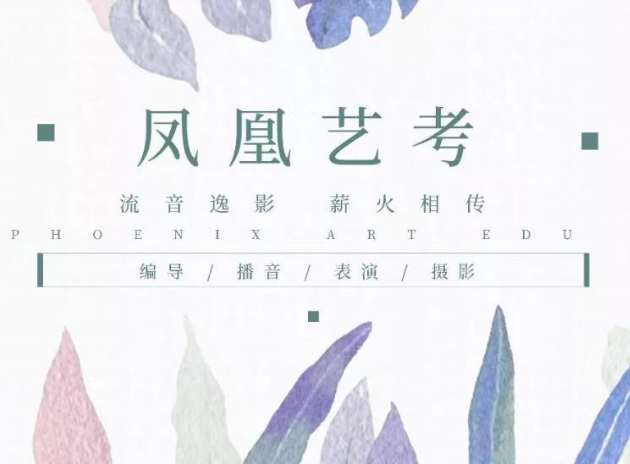 凤凰艺考加盟