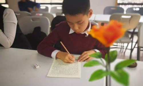 闵行朗恩进修学校加盟 闵行朗恩进修学校加盟