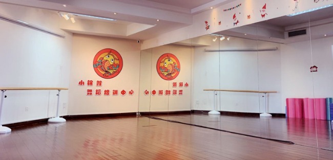 小锦鲤舞蹈加盟 小锦鲤舞蹈加盟