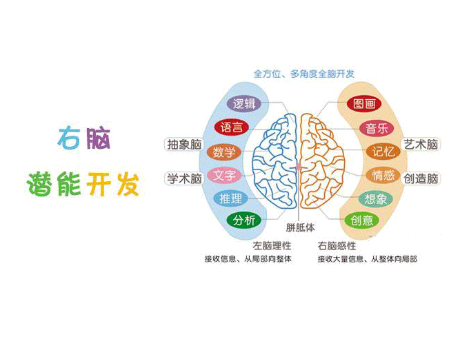 王牌右脑开发加盟