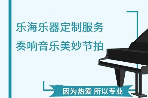 乐海乐器培训加盟
