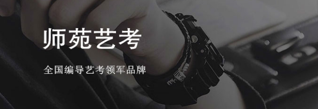 师苑艺考加盟 师苑艺考加盟