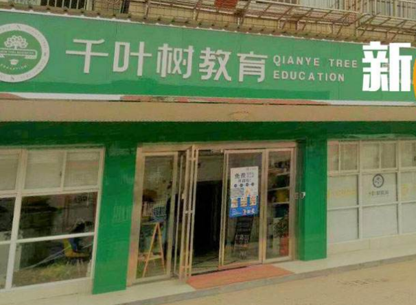 千叶树教育加盟