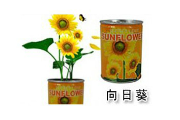 植物花草启蒙教育玩具加盟 植物花草启蒙教育玩具加盟