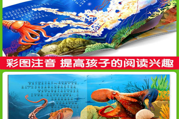 生物海洋启蒙教材玩具加盟 生物海洋启蒙教材玩具加盟