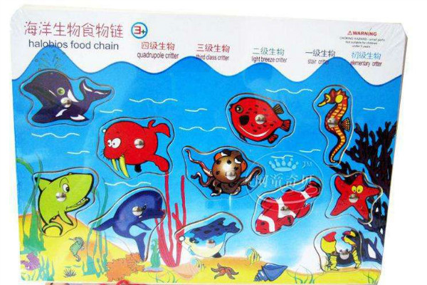 生物海洋启蒙教材玩具加盟 生物海洋启蒙教材玩具加盟