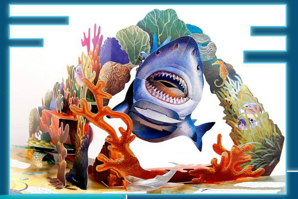 生物海洋启蒙教材玩具加盟 生物海洋启蒙教材玩具加盟