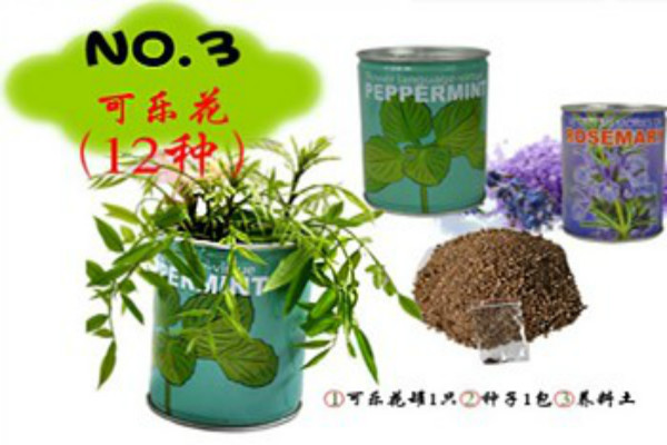 植物花草启蒙教育玩具加盟 植物花草启蒙教育玩具加盟