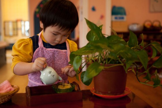 伊顿双语幼儿园加盟