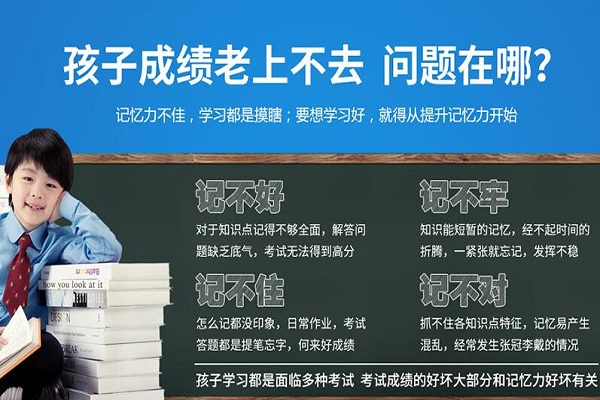 最强大脑仪加盟 最强大脑仪加盟