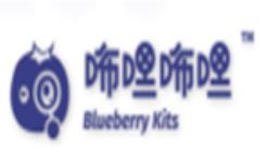 咘哩咘哩电子积木