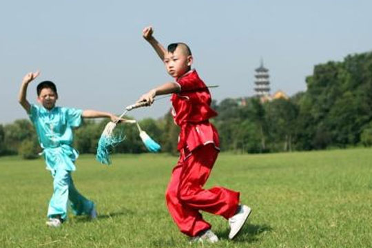 振彪武术加盟