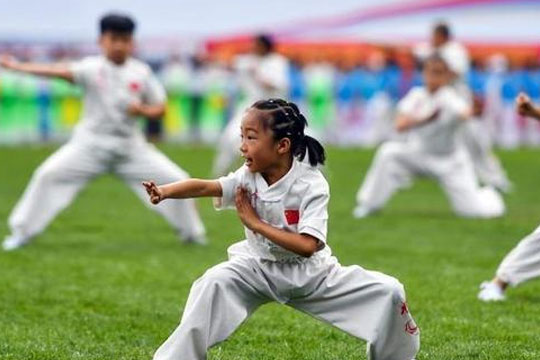 振彪武术加盟
