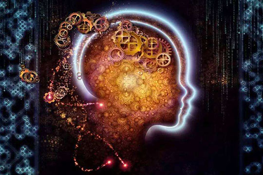 陆老师辅导私塾加盟 陆老师辅导私塾加盟