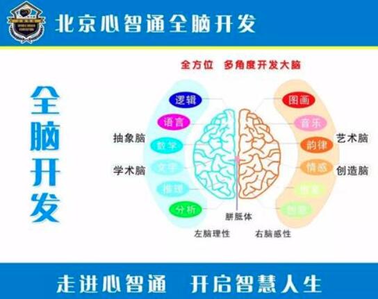 左右脑开发训练加盟 左右脑开发训练加盟