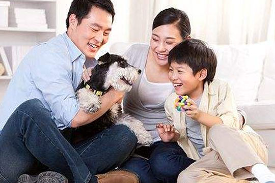 妙语晨晓家庭教育指导加盟 妙语晨晓家庭教育指导加盟