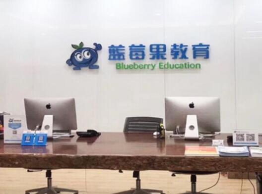 蓝莓果幼小衔接加盟