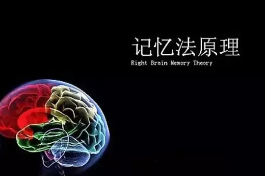 启智速学加盟