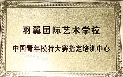 羽翼国际艺术学校加盟 羽翼国际艺术学校加盟