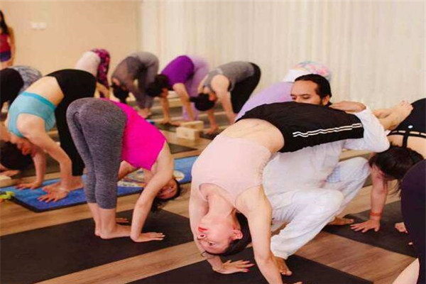 YOGALA瑜伽旅修加盟 YOGALA瑜伽旅修加盟