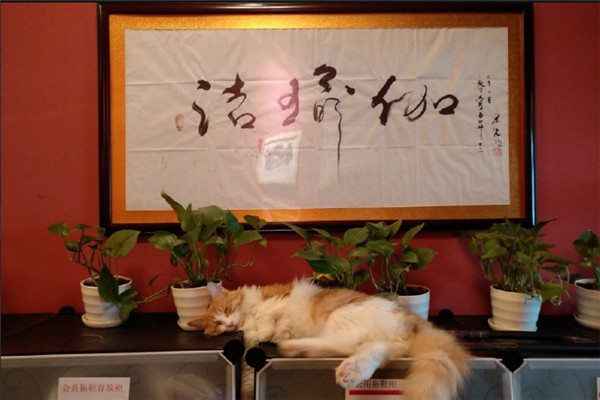 洁瑜伽加盟 洁瑜伽加盟
