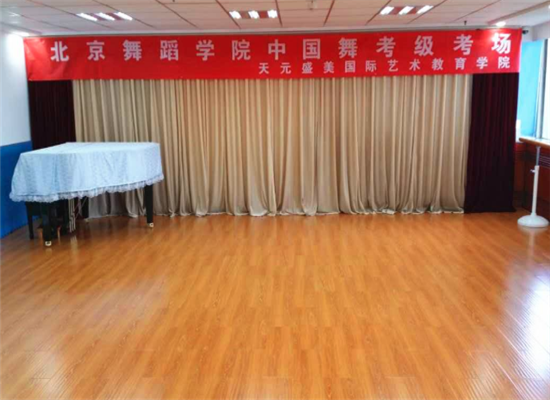 天元盛美国际艺术教育加盟 天元盛美国际艺术教育加盟